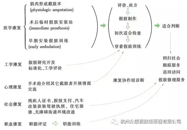 假肢公司